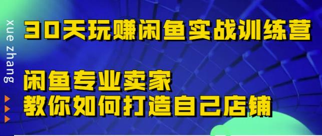 30天玩赚闲鱼实战训练营，闲鱼专业卖家教你如何打造自己店铺￼-唐人网创