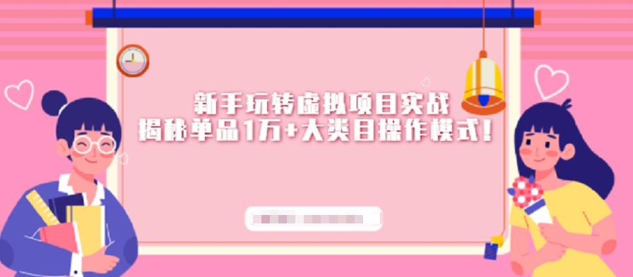 新手玩转虚拟项目实战，揭秘单品1万+大类目操作模式【视频课程】-唐人网创